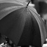 キャッシュフローの大切さ